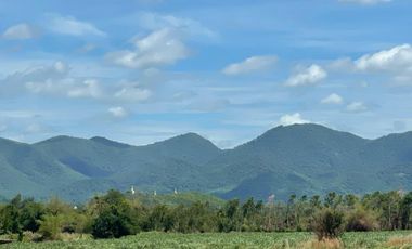 Land for sale in Cha-Am, Phetchaburi