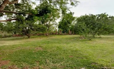 3 Bedroom House for sale in Chiang Khian, Chiang Rai