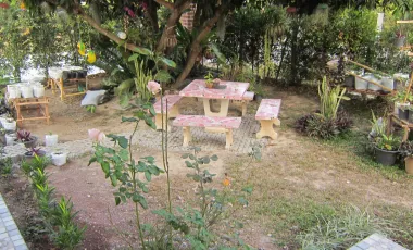3 Bedroom House for sale in Chiang Khian, Chiang Rai
