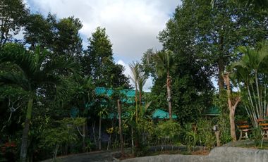 8 Bedroom Hotel for sale in Ao Nang, Krabi