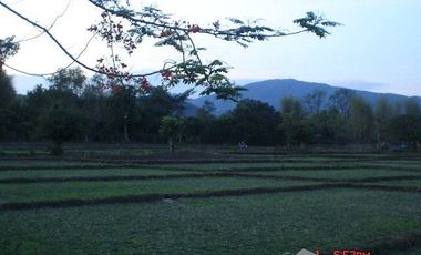 4 Bedroom House for sale in Nam Phrae, Chiang Mai