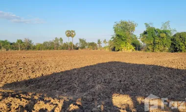 2 Bedroom House for sale in Nong Pling, Nakhon Sawan