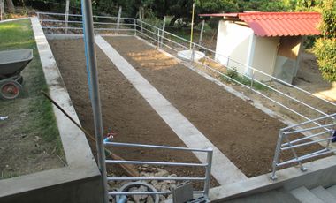 2 Bedroom House for sale in Ban Luang, Chiang Mai