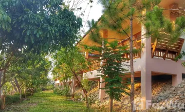 15 Bedroom Hotel for sale in Wiang Nuea, Mae Hong Son