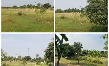 Land for sale in Bang Krachao, Samut Sakhon