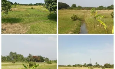 Land for sale in Bang Krachao, Samut Sakhon