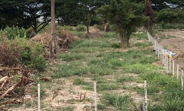 Land for sale in Cha-Am, Phetchaburi