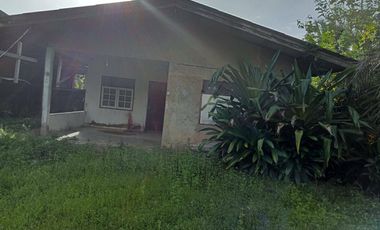 1 Bedroom House for sale in Ko Klang, Krabi