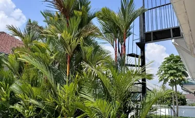 3 Bedrooms For RentTropical Garden Village
