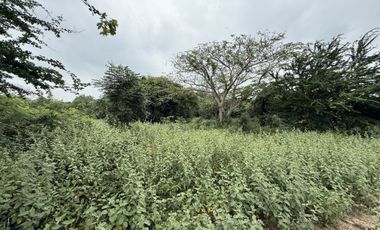 Land for sale in Nong Kae, Prachuap Khiri Khan