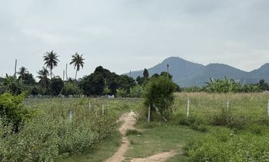 Land for sale in Nong Kae, Prachuap Khiri Khan