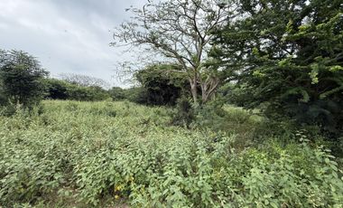 Land for sale in Nong Kae, Prachuap Khiri Khan