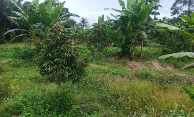 2 Bedroom House for rent in Wisai Nuea, Chumphon