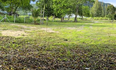 Land for sale in Hin Lek Fai, Prachuap Khiri Khan