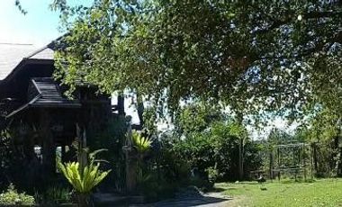 3 Bedroom House for sale in Nong Bua, Loei