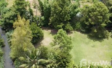 4 Bedroom Villa for sale in Rop Wiang, Chiang Rai