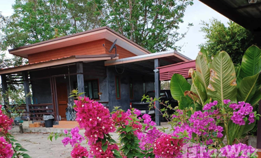 1 Bedroom House for rent in Nong Pla Mo, Saraburi