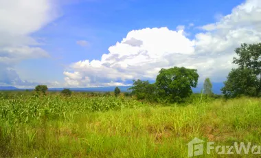 3 Bedroom House for sale in Nong Kathao, Phitsanulok