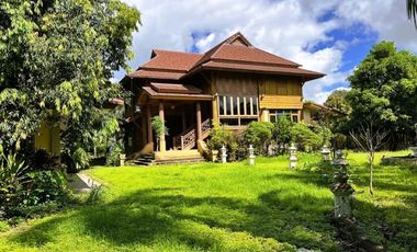 Two-Storeys Golden Teak Wood