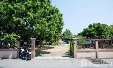 3 Bedroom House for sale in Rim Tai, Chiang Mai