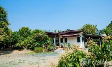 3 Bedroom House for sale in Rim Tai, Chiang Mai