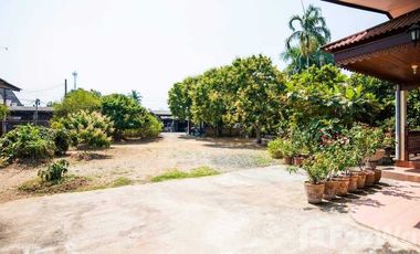 3 Bedroom House for sale in Rim Tai, Chiang Mai