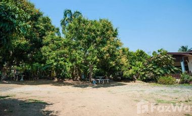 3 Bedroom House for sale in Rim Tai, Chiang Mai