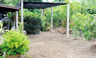 3 Bedroom House for sale in Rim Tai, Chiang Mai