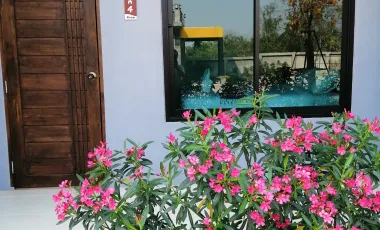 12 Bedroom Hotel for sale in , Nong Khai