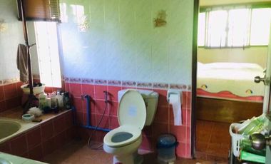 3 Bedroom House for sale in Saraphi, Chiang Mai