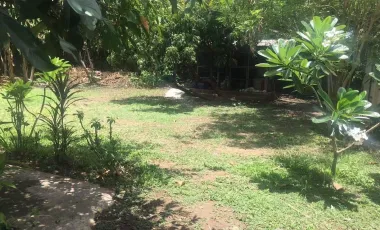 3 Bedroom House for sale in Saraphi, Chiang Mai