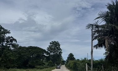 Land for sale in Hua Hin City, Prachuap Khiri Khan