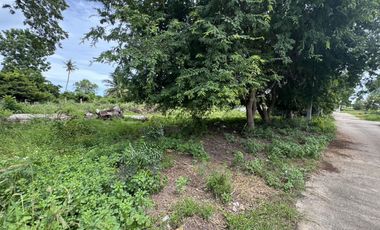 Land for sale in Hua Hin City, Prachuap Khiri Khan