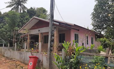 .400SqM House in Na Wang for ฿550,000
