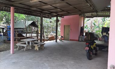 .400SqM House in Na Wang for ฿550,000