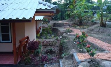 4 Bedroom House for sale in Mae Na Toeng, Mae Hong Son