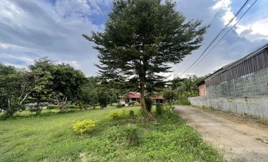 4 Bedroom House for sale in Mae Na Toeng, Mae Hong Son