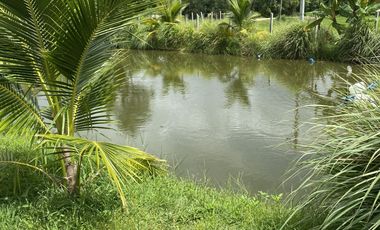 2 Bedroom Villa for sale in Salak Dai, Surin