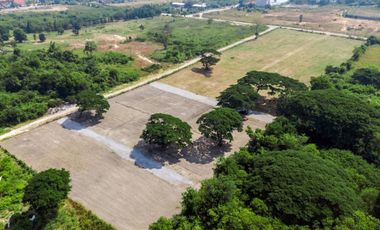 Land for sale in Nong Kae, Prachuap Khiri Khan