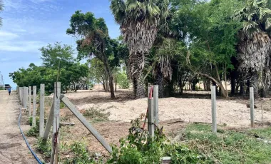 Land for sale in Cha-Am, Phetchaburi