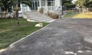 3 Bedroom House for sale in Hua Chang, Roi Et