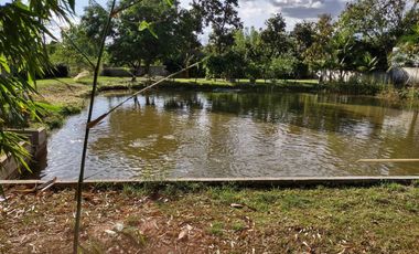 3 Bedroom House for sale in Hua Chang, Roi Et