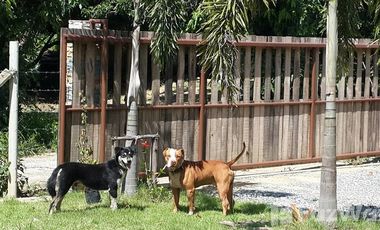 2 Bedroom House for sale in Saraphi, Chiang Mai