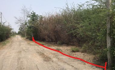 Land for sale in Cha-Am, Phetchaburi