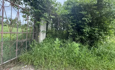 Land for sale in Hin Lek Fai, Prachuap Khiri Khan