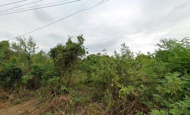 Land for sale in Hua Hin City, Prachuap Khiri Khan