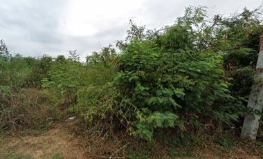 Land for sale in Hua Hin City, Prachuap Khiri Khan