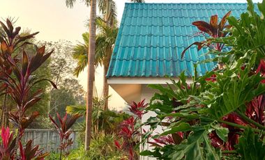 3 Bedroom House for sale in Rop Wiang, Chiang Rai