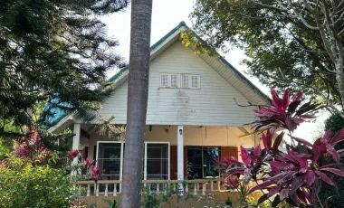 3 Bedroom House for sale in Rop Wiang, Chiang Rai