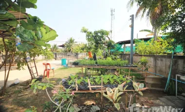 4 Bedroom House for sale in Pho Chai, Nong Khai